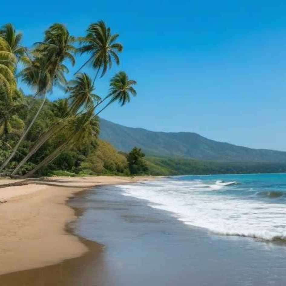 ambiente tranquilo playa chila nayarit