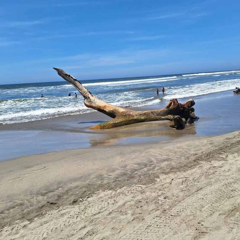 orilla playa bonfil